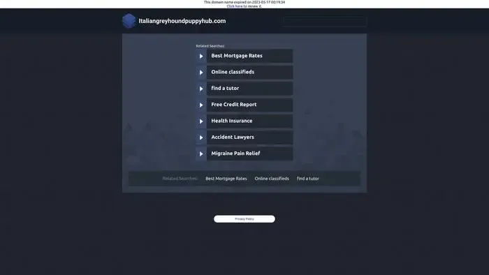 Screenshot of