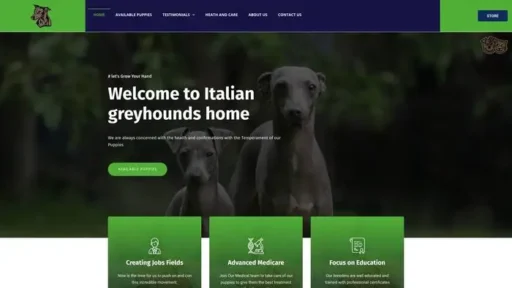 Screenshot of
