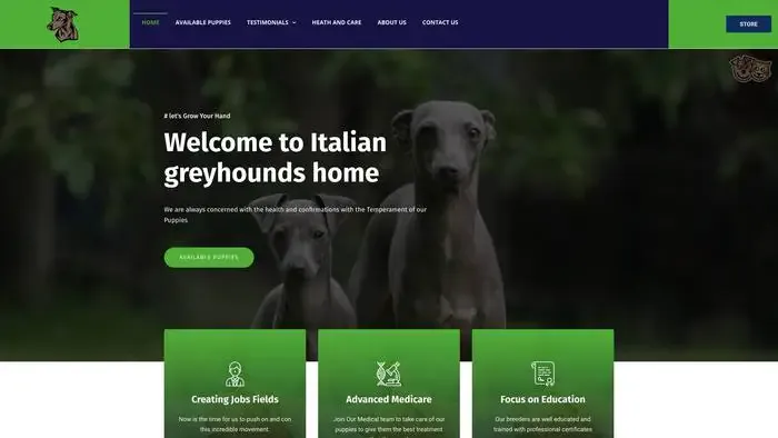 Screenshot of