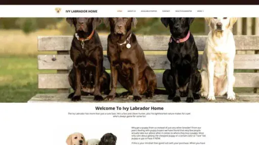 Screenshot of