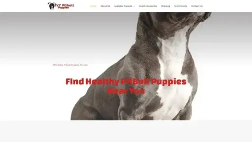 Screenshot of