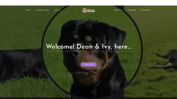 Screenshot of