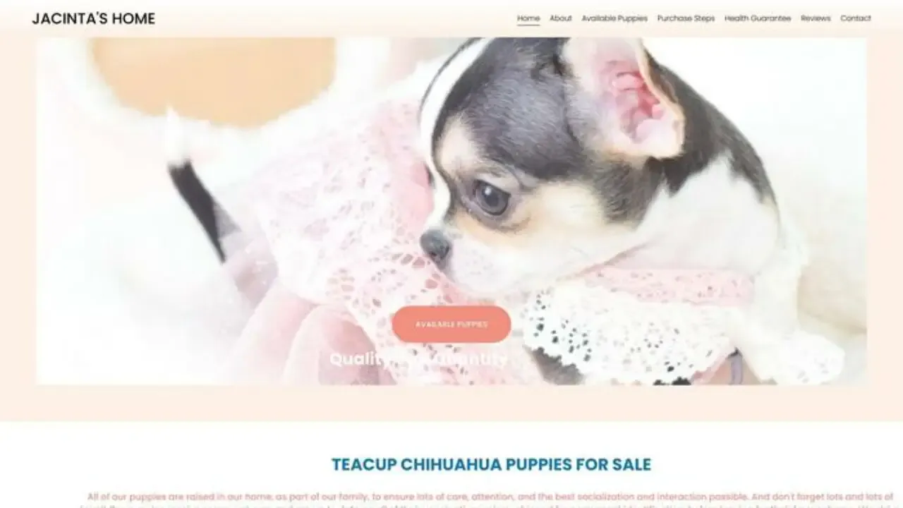 Screenshot of||