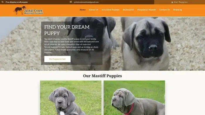 Screenshot of