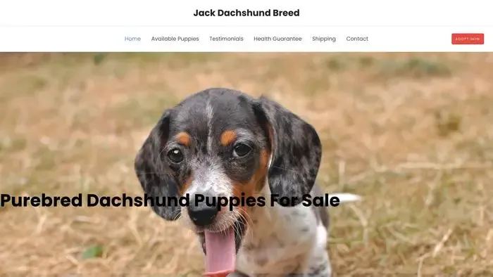 Screenshot of|