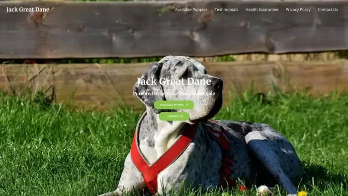 Screenshot of