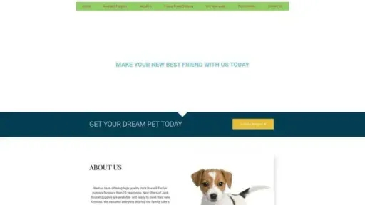 Screenshot of