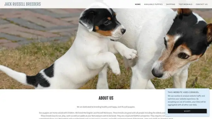 Screenshot of