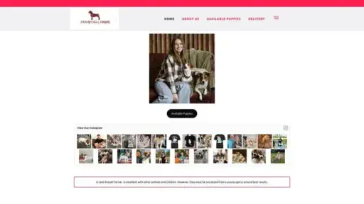 Screenshot of