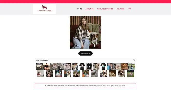 Screenshot of