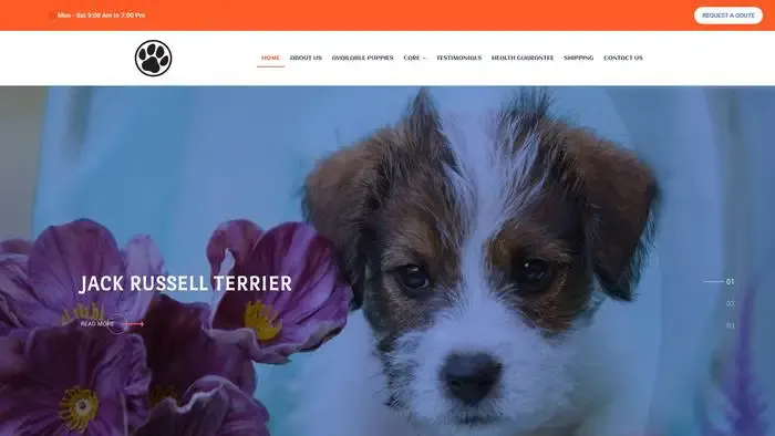 Screenshot of