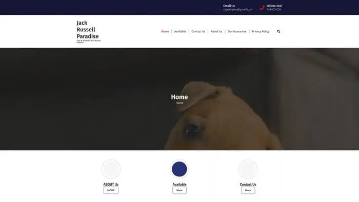 Screenshot of