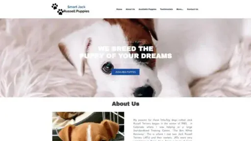 Screenshot of