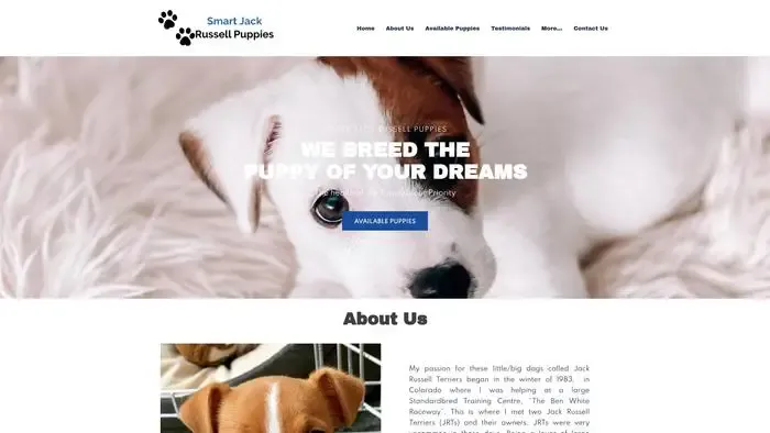 Screenshot of