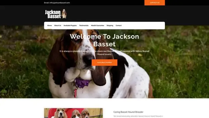 Screenshot of