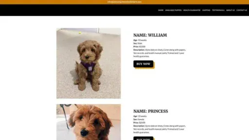 Screenshot of