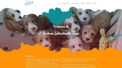 Screenshot of