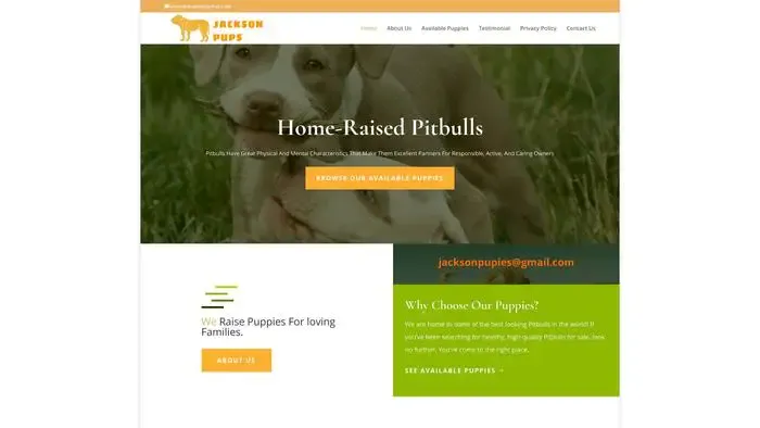 Screenshot of