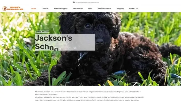 Screenshot of