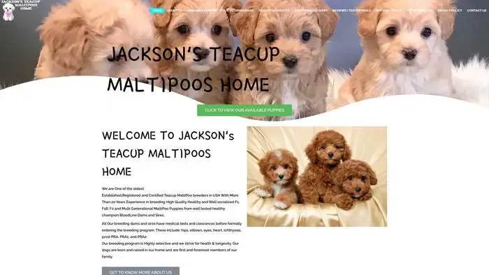 Screenshot of