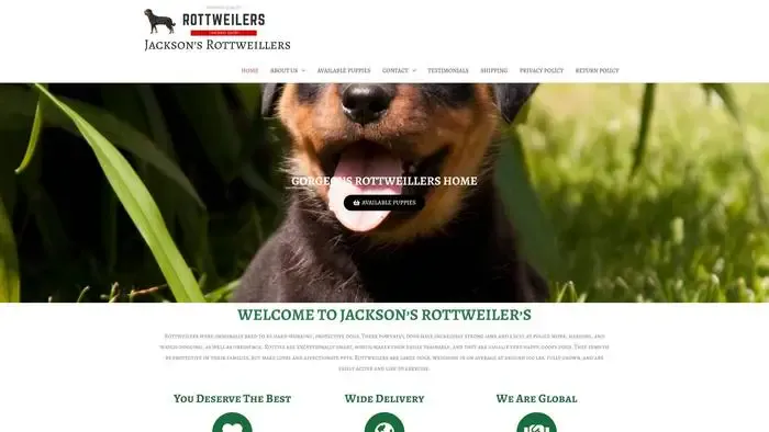 Screenshot of