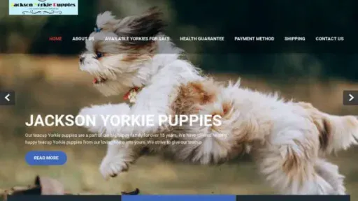 Screenshot of