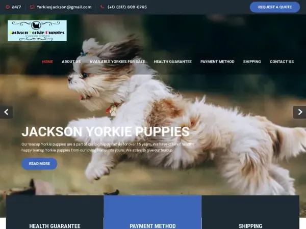 Screenshot of