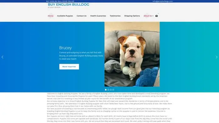 Screenshot of