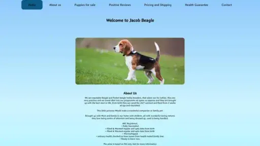 Screenshot of