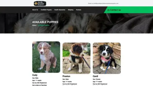 Screenshot of