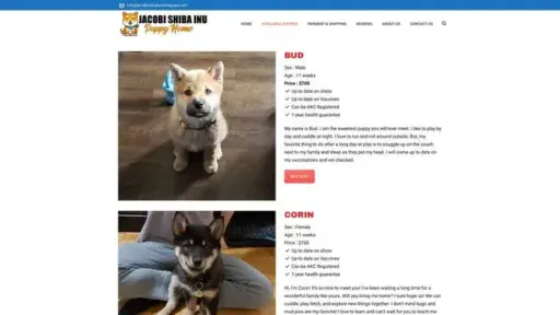 Screenshot of