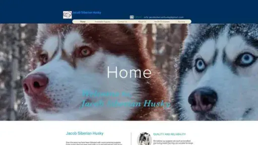 Screenshot of
