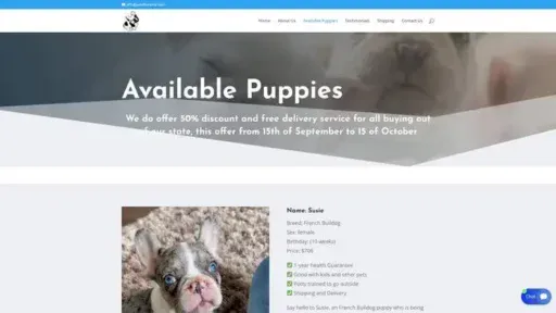 Screenshot of