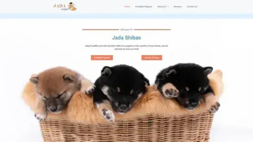 Screenshot of