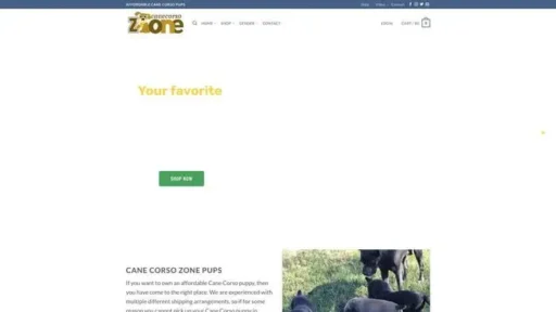 Screenshot of