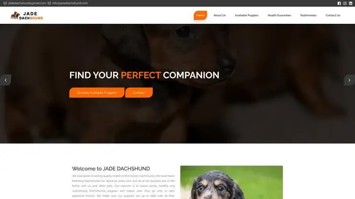 Screenshot of