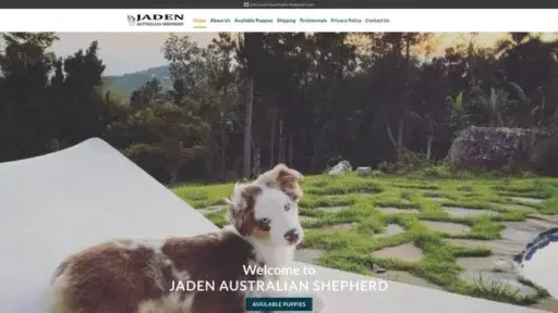Screenshot of