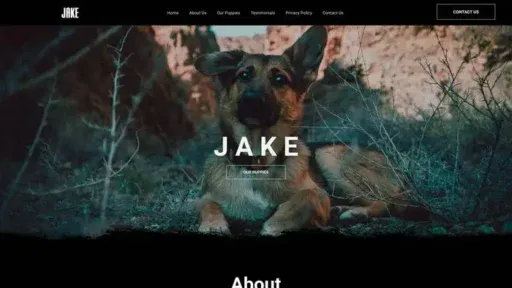 Screenshot of