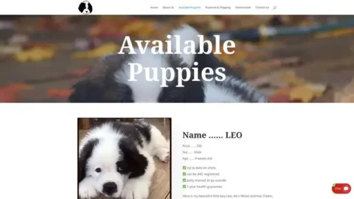 Screenshot of