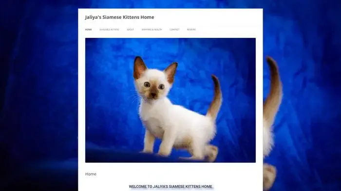 Screenshot of