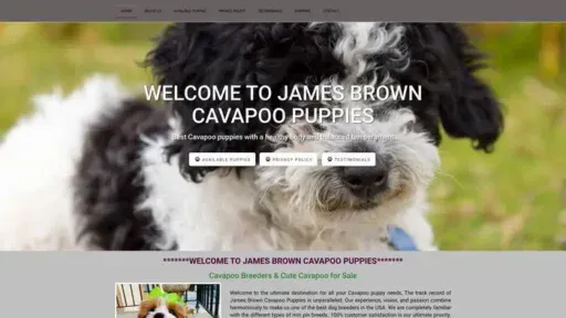 Screenshot of