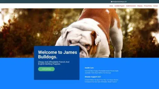 Screenshot of
