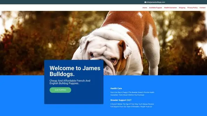 Screenshot of