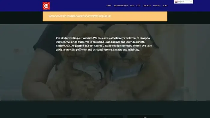 Screenshot of