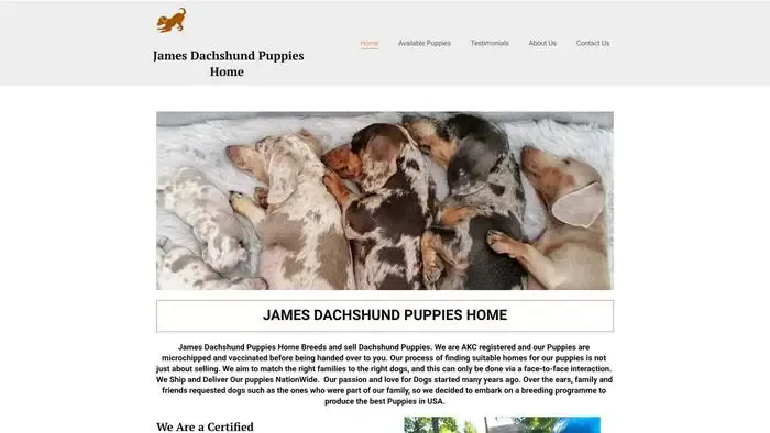 Screenshot of