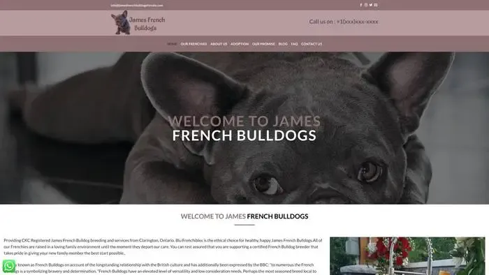 Screenshot of