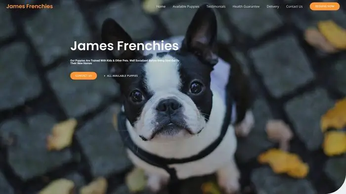 Screenshot of