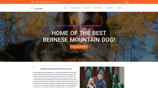 Screenshot of|