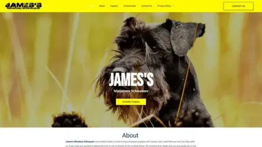 Screenshot of