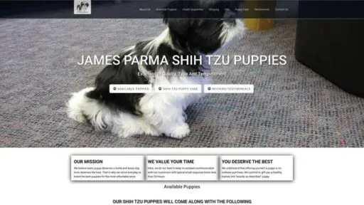Screenshot of